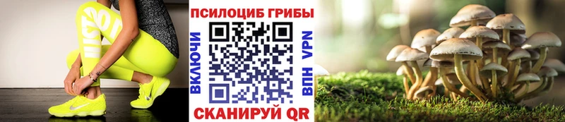 Псилоцибиновые грибы прущие грибы  mega рабочий сайт  Кирс 
