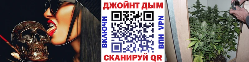 Шишки марихуана семена  Кирс 